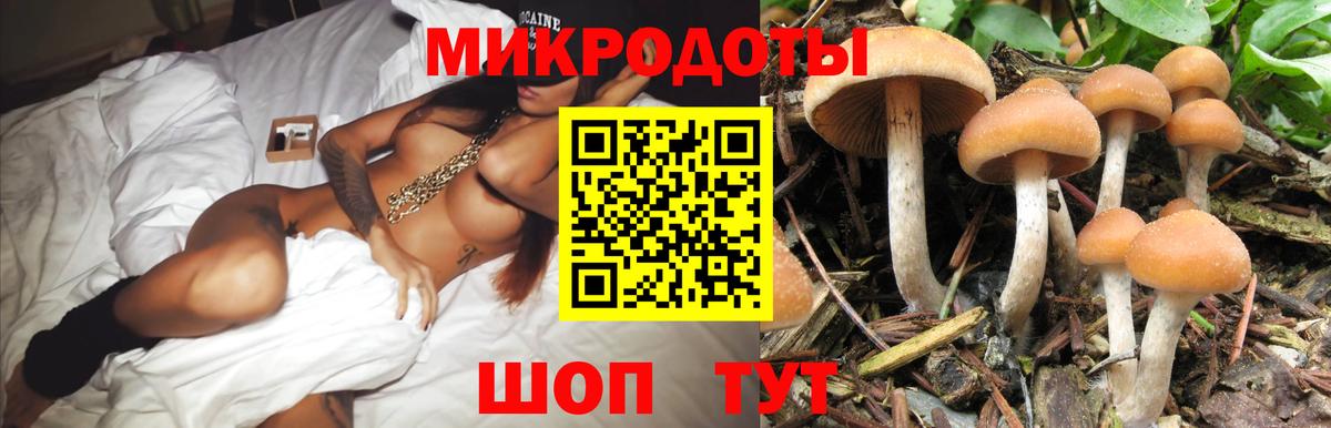 Наро-Фоминск  Галлюциногенные грибы Magic Shrooms  Вход с VPN 